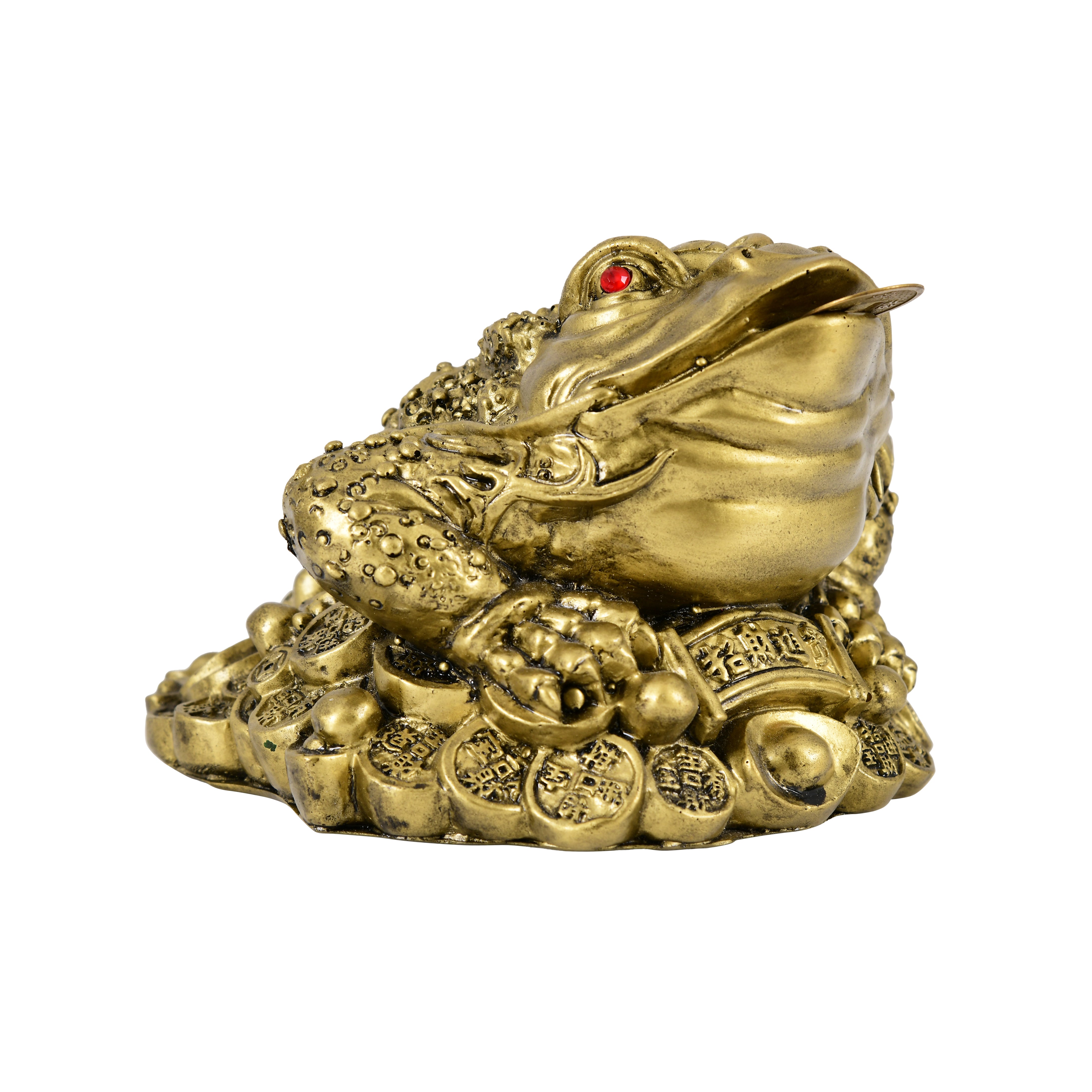 Golden Fortune Frog- For Wealth & prosperity- Big Size