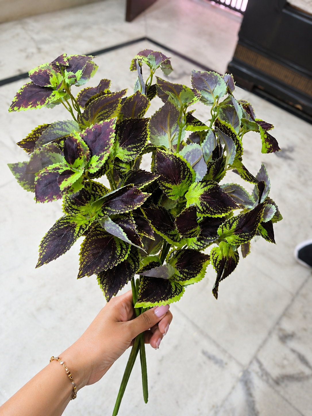 Bella N Bloom Artificial Variegated Leaf Bunch (Pack of 2) for Home Décor