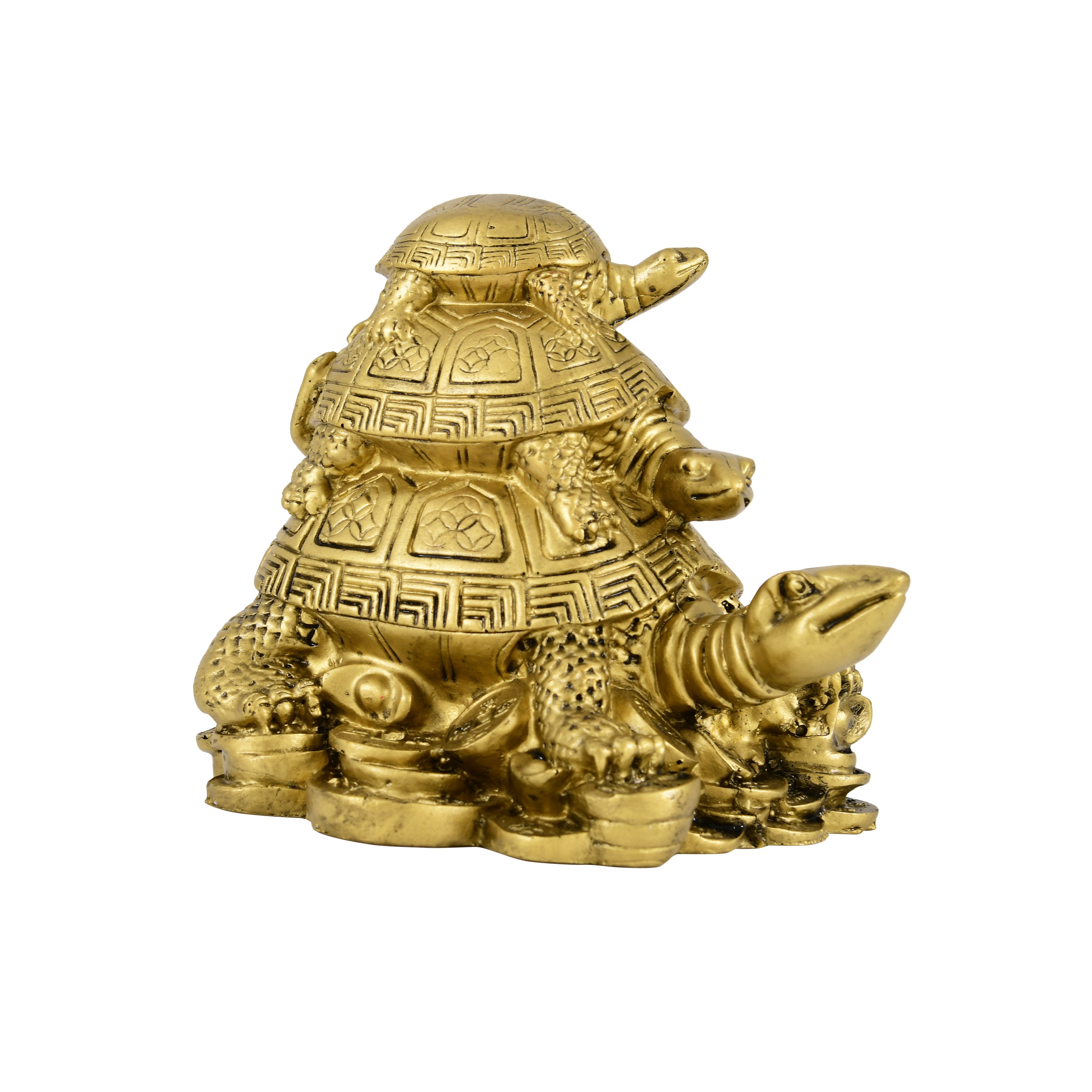 Triple Harmony Tortoise