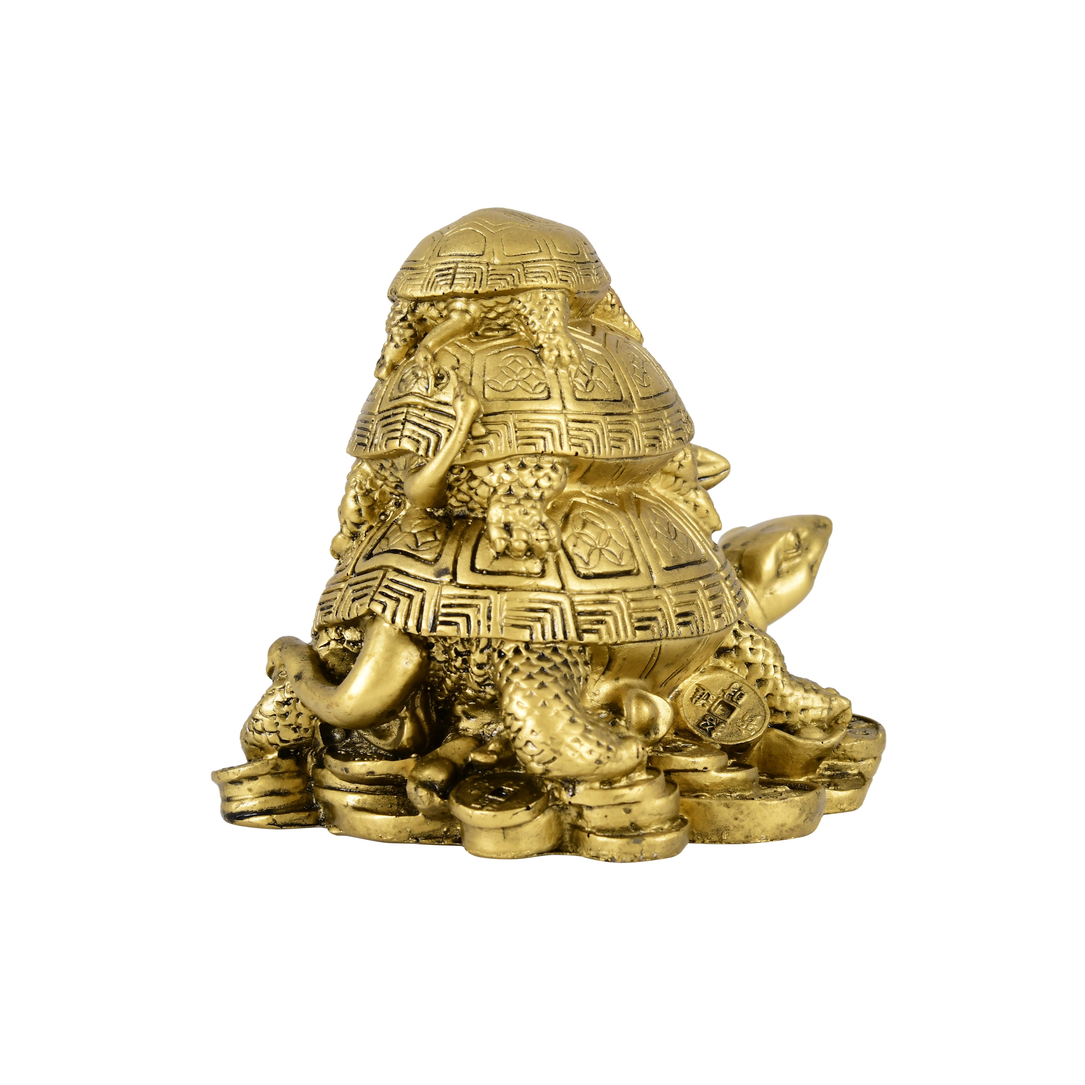 Triple Harmony Tortoise