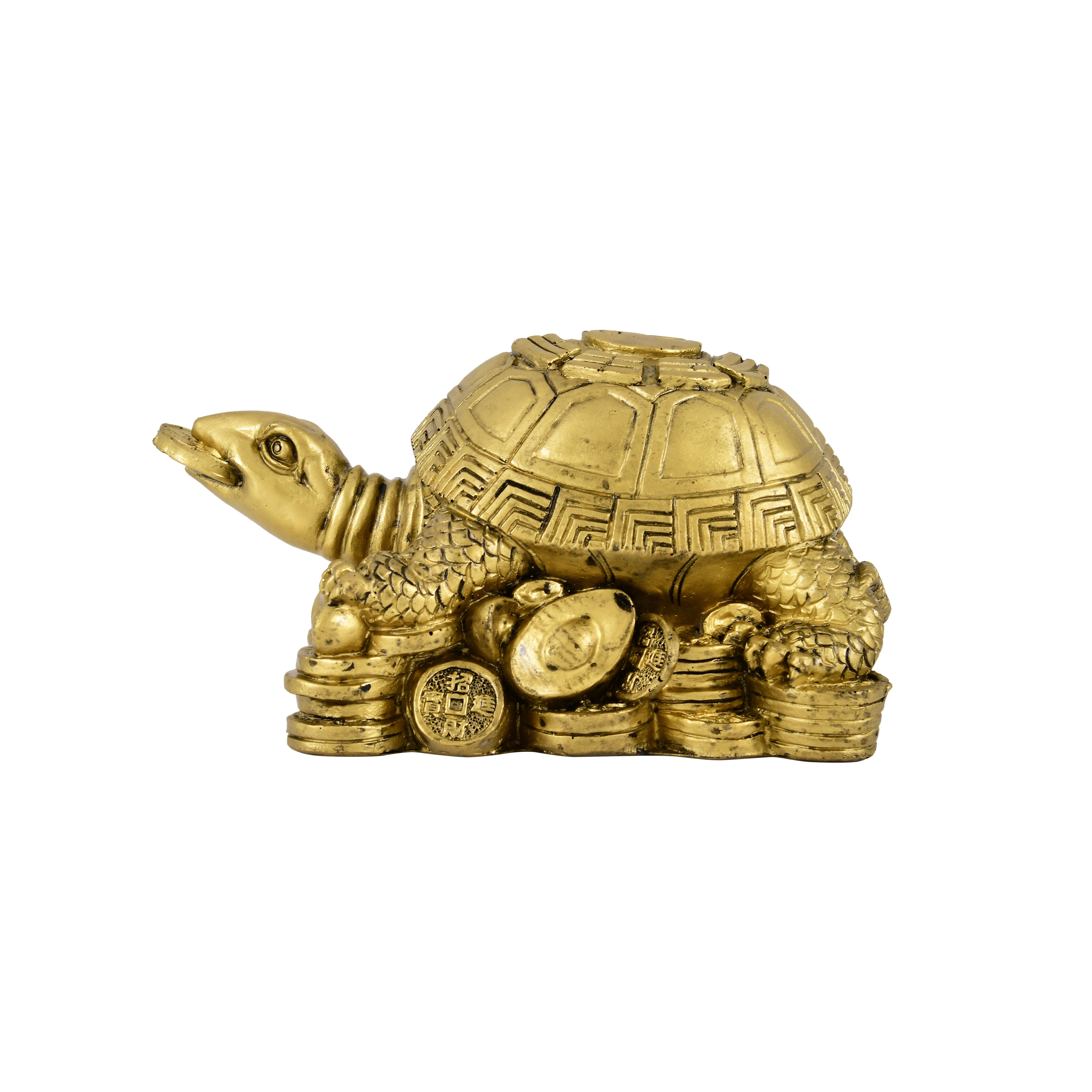 Wealth Guardian tortoise
