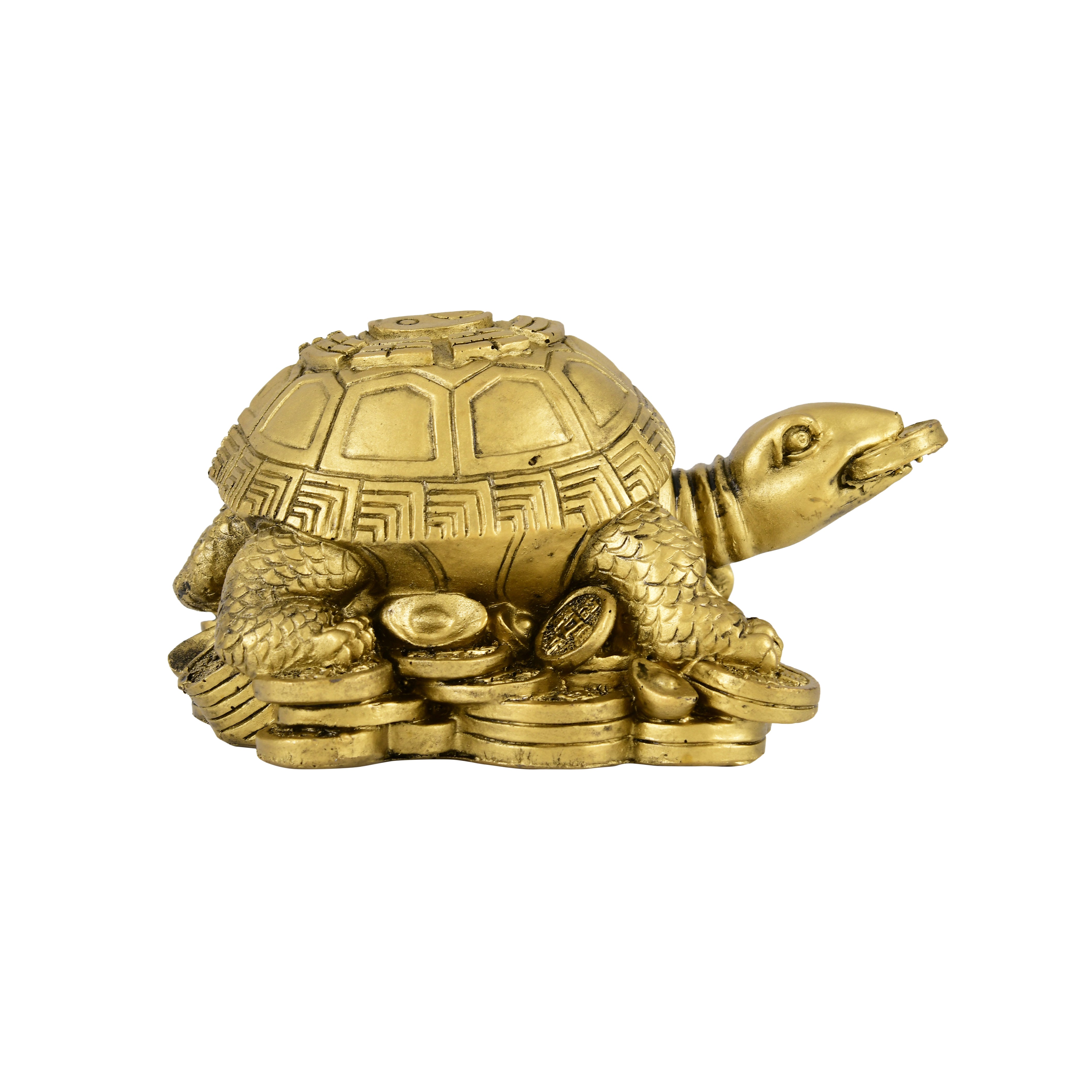Wealth Guardian tortoise
