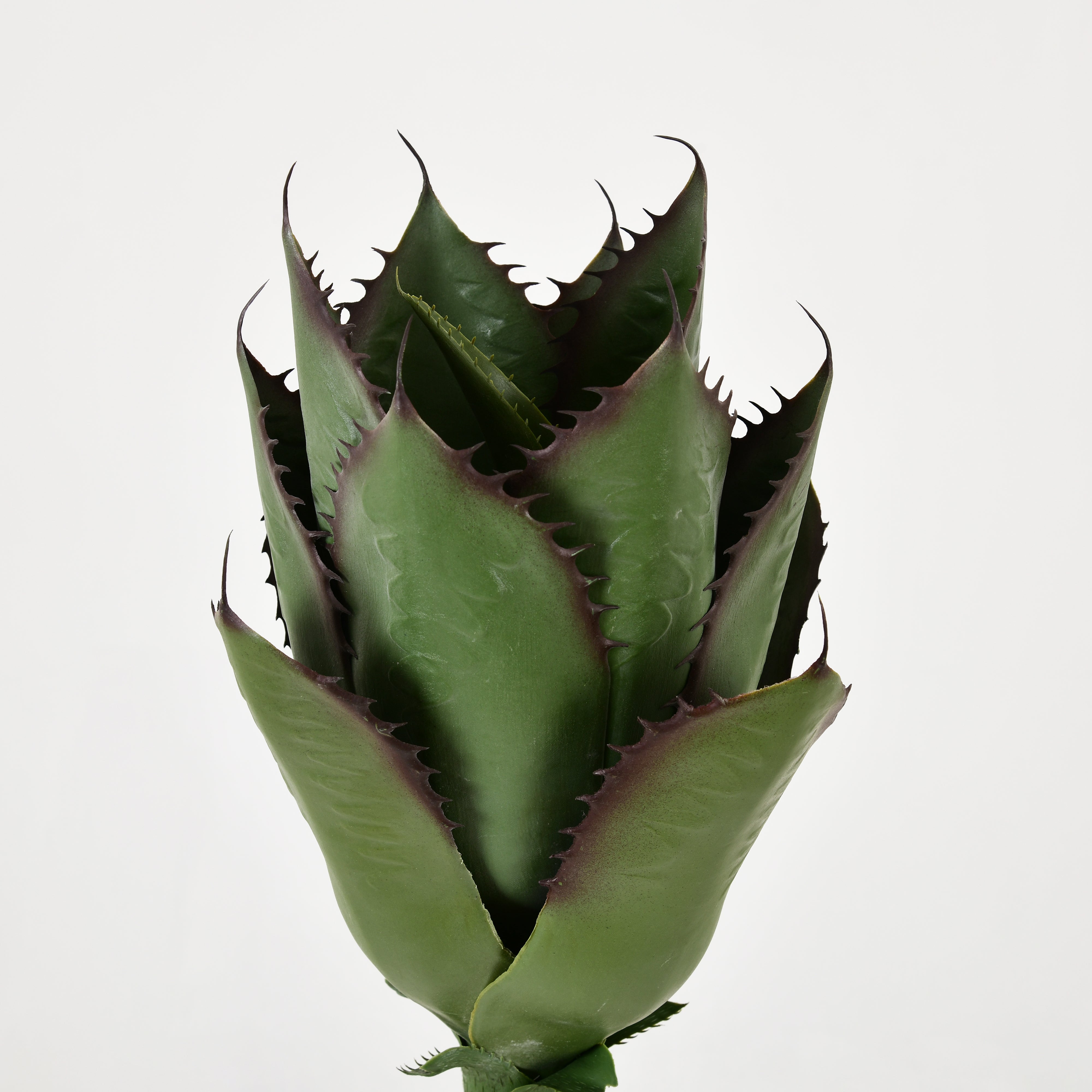 Premium Artificial Agave Plant in White Pot